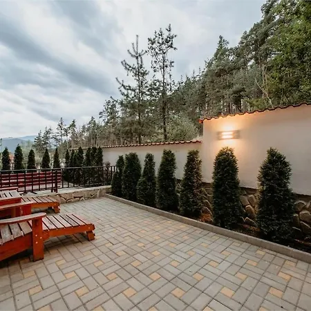 The Owl's Nest 1 Lejlighed Velingrad